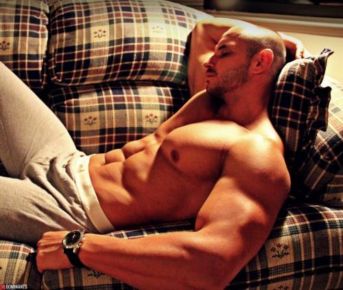 559462_778593182156843_201102903_n