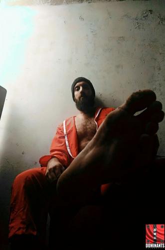 ^BE83C711691A209B82845E1C6624CE29A70C9D43ABC7FC2E76^pimgpsh_fullsize_distr