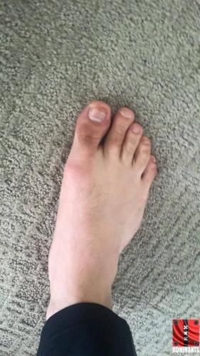 13940219_10154505841499203_2130022205_o