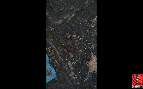 Screen Shot 2016-02-11 at 20.51.42