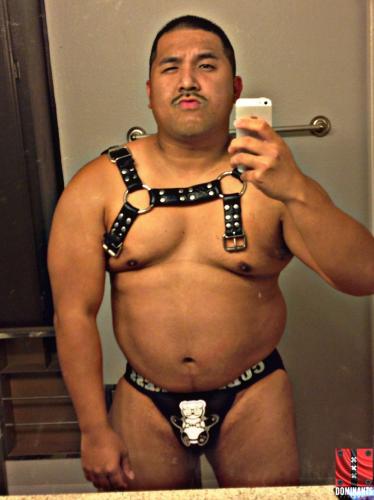 harness