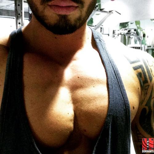 12795324_1563547663972549_910510567259249760_n