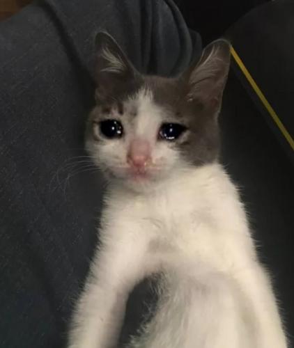 July 15, 2019