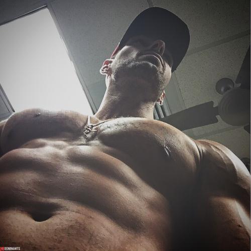 1896854_949489165108463_4160167795588043406_n