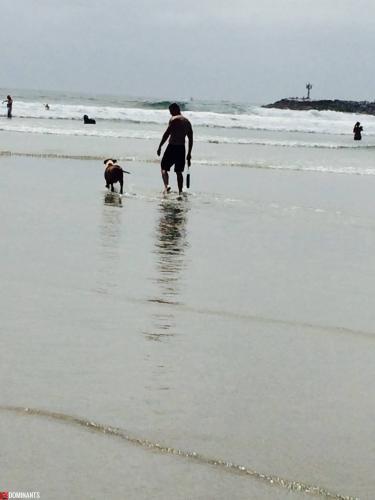 11226034_1021819097850839_7882722417092552224_o