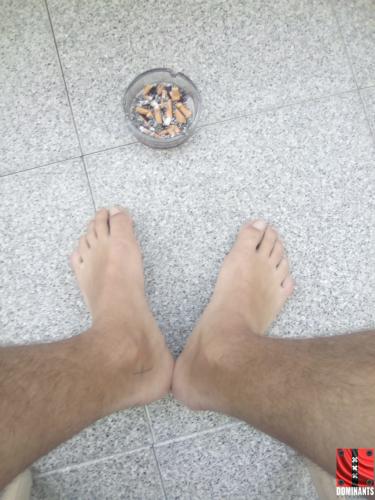 1500446648554-2046655377