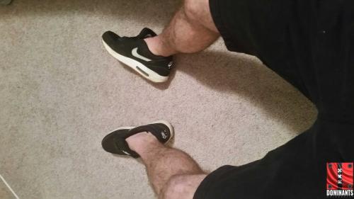 1452718332071_1452892005859