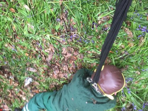 ^548DDFE23A3955D1EF0A4EB52A4C35E11881ACD2A74199A51E^pimgpsh_fullsize_distr