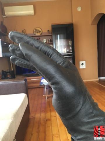 21100804_1425253524261934_1448471842_n