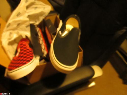 newvans2