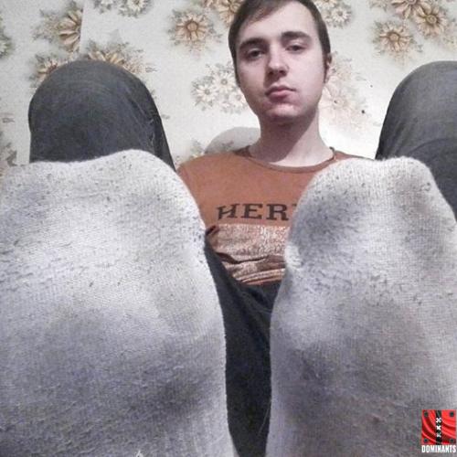 15032333_284027651992402_3283838373671283948_n