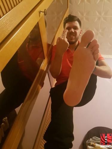 ^BBA57115326C80C6B9DA8CE319CE481EA94B4A9058BC7F38FD^pimgpsh_fullsize_distr