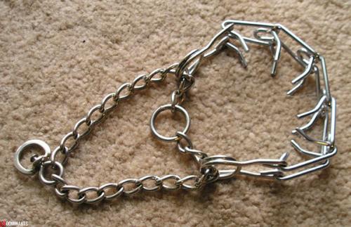 ProngCollar_wb