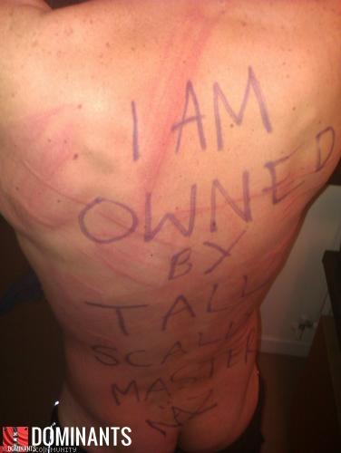 2103805caf48ed0c53e5c4b8d54b50fd_500