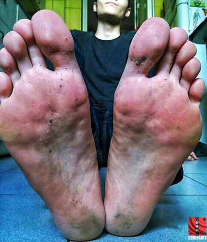 photo_2017-04-18_21-50-13