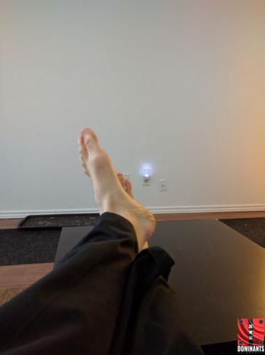 ^B5A2D639FC14991FB1F2B52F8955C9D691B7BE9322C1D03F59^pimgpsh_fullsize_distr