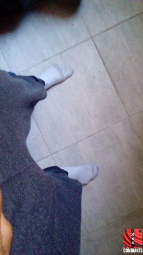 15045762_1196682313759510_629917235_n