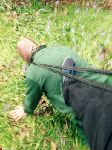 ^C783297A00AD080D5D46BBCAC3869B10E8955486FA6605350E^pimgpsh_fullsize_distr