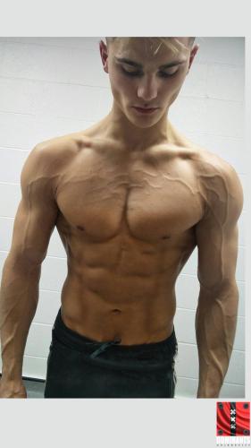 Shreds