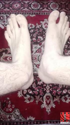 106fcd14-4041-4993-95b1-0c5175665ce6