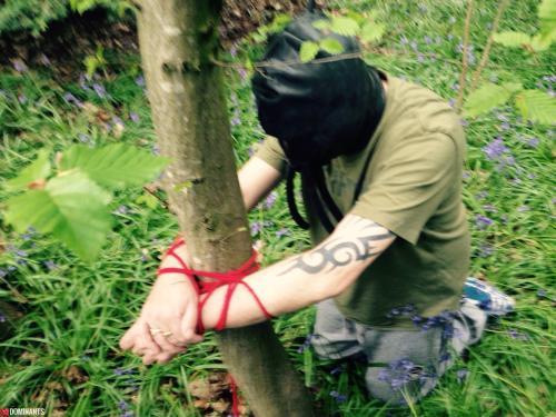 ^341670D63488976ADD74367105FD5F98A938D3EDE3FF96F734^pimgpsh_fullsize_distr