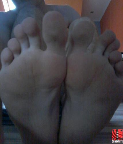 15318013_207070436413273_2052470132385703506_n