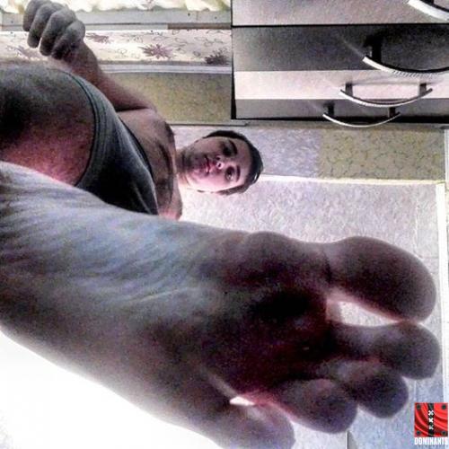 13076655_171327919929043_7266571443651137469_n