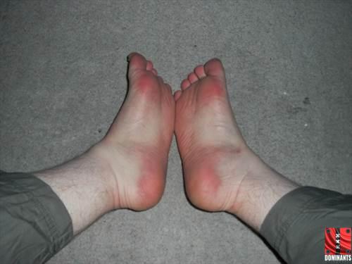 6c00c948-c05c-4e8c-af54-18891ba0b3d0