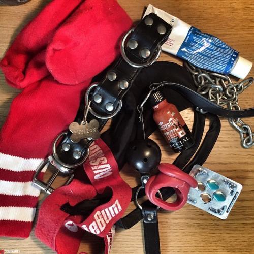 11386520_1587346464848498_1429783706_n