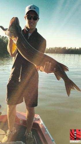 fish1