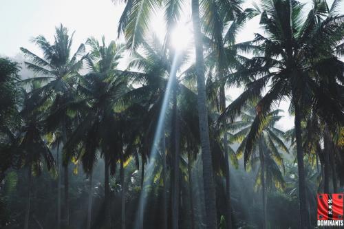 tumblr_o80y27XggP1tjf5wmo3_1280