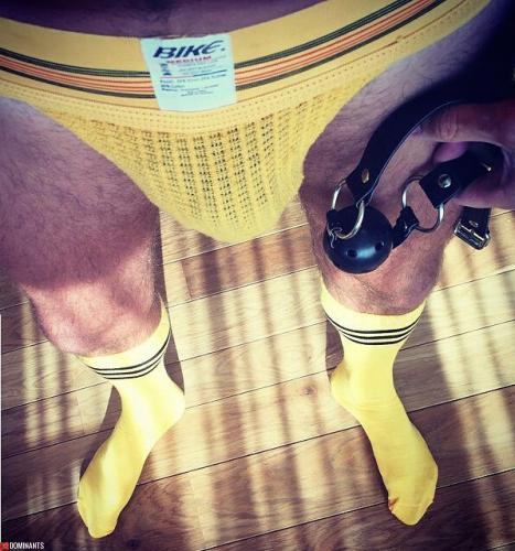 11355957_820945994626433_1832692181_n (1)