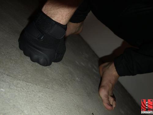 12375084_10203769278511610_6779628638331415695_o