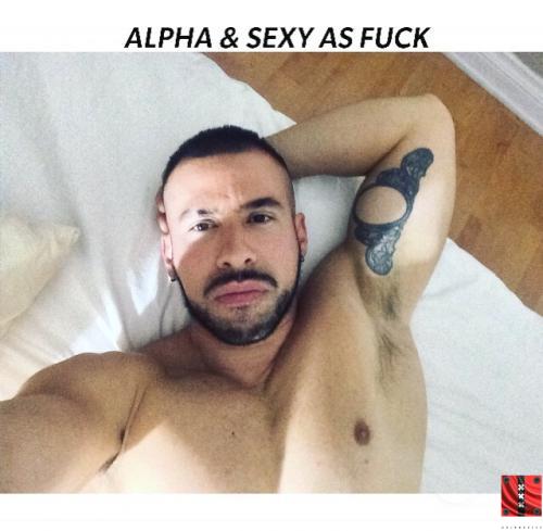 ALPHA N SEXY
