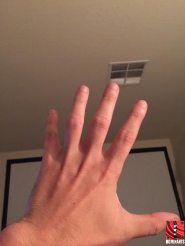 ^78913AA67DA1B2DA76A0D8594CB1D3397DE8CDC31AB444DF14^pimgpsh_fullsize_distr