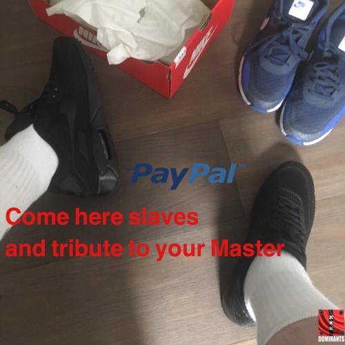 ^6E83E4AE8AFCA7F59A00D497B7982485AB2BDED0D27219C2D4^pimgpsh_fullsize_distr