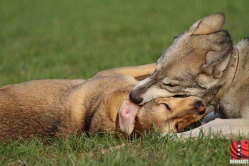October 24, 2017