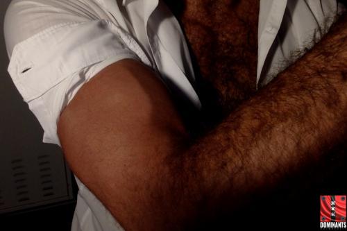 arms