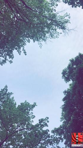 April 28, 2017