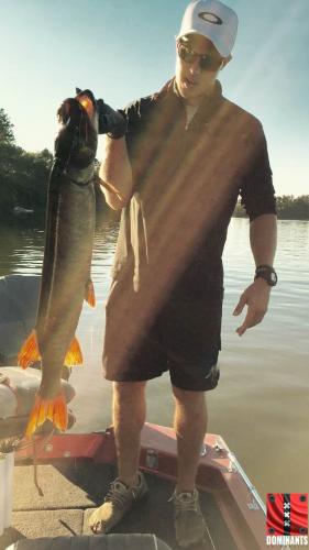 fish2