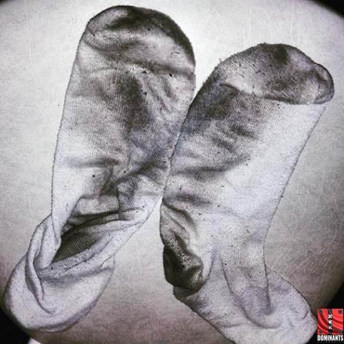 13010589_163646247363877_74723350859229132_n