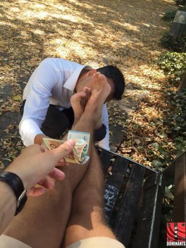 14139134_1404303446253777_2068244405_o