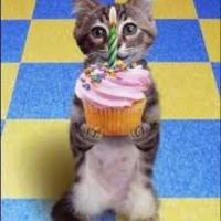 defdev
