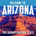 Arizona Doms & Subs Community