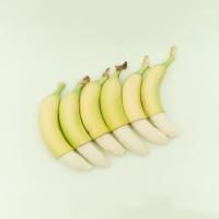 bryanmichael