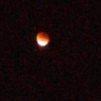 slv4lfe