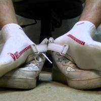 leonberger