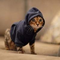 englishslave