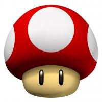 Anony Caeol