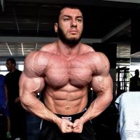 AlphaMale